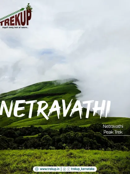 Highlighting the Netravathi Peak trek, one of the best monsoon experiences in the Western Ghats.