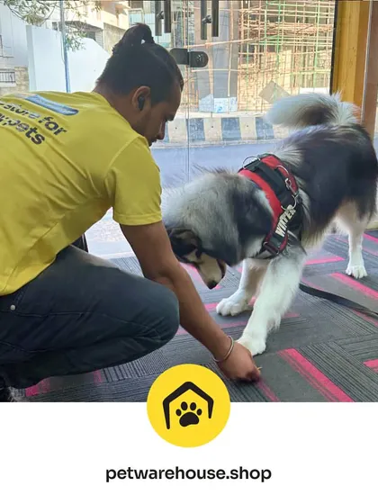Our staff always prioritize pet care and customer service, as shown here with a friendly greeting. This commitment is reflected in our many 5-star reviews.