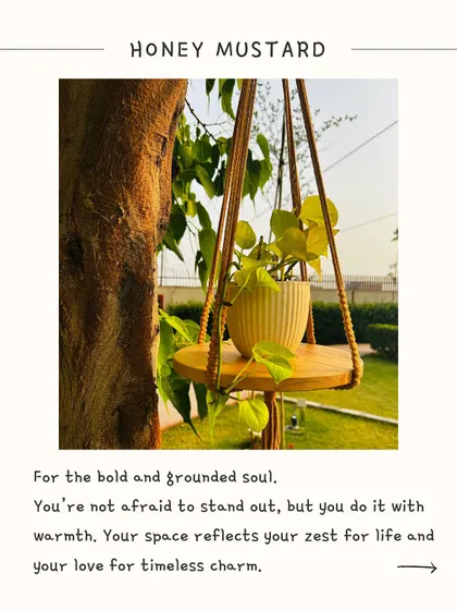 Our 'Swing Story' macrame hanger in Honey Mustard. This warm, golden ochre shade is for the bold and grounded soul who loves timeless charm. The 4-foot piece comes with a round shelf, perfect for your favorite greens.