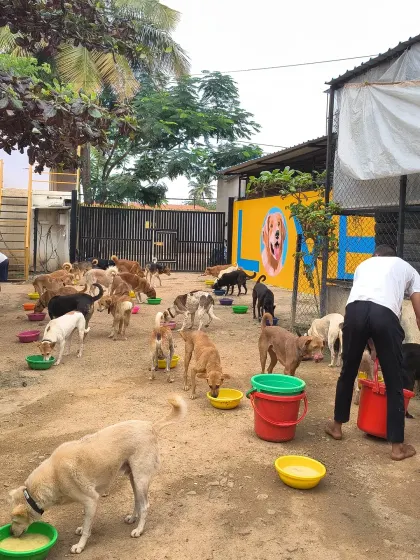 Mealtime in front of the new mural. This image captures the essence of VOSD: large-scale care delivered with immense love and attention to detail.