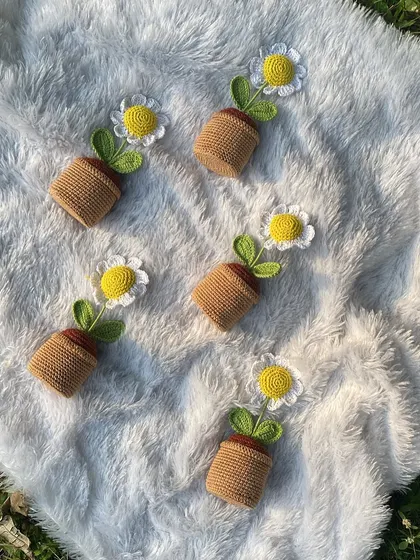 A lovely flat lay of my classic daisy pots on a soft blanket. This shows how I prepare and photograph my bulk orders.