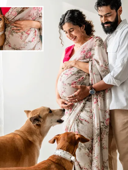 A lovely indoor maternity photo with an expecting couple and their two indie dogs looking up at the baby bump.