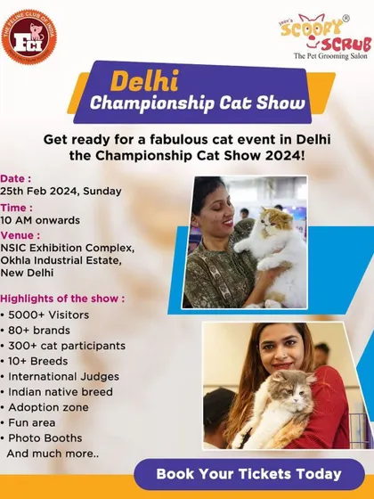 Another look at our invitation to the fabulous Delhi Championship Cat Show. We were excited to be event partners and support the growing cat community in India.