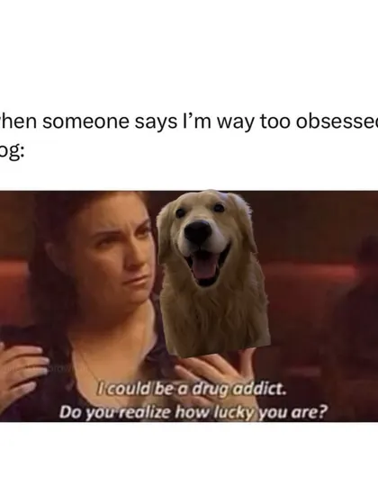 When someone says you're too obsessed with your dog, just remind them how lucky they are. A relatable dog meme for every proud pet parent.
