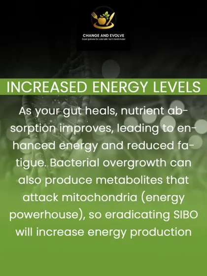 As your gut heals, you'll notice benefits beyond digestion. Improved nutrient absorption leads to increased energy levels, reduced fatigue, and better mental clarity.