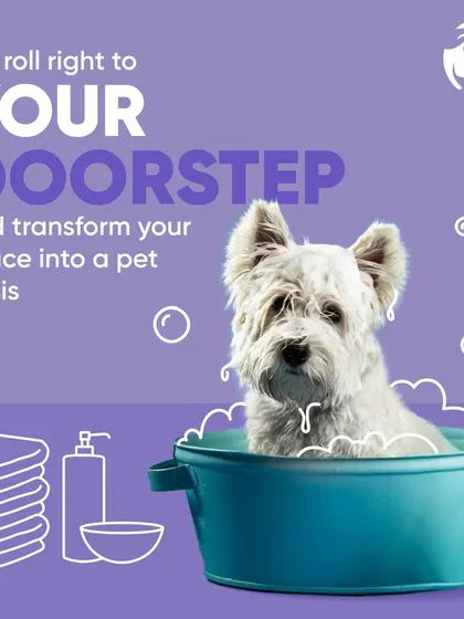 Imagine a professional grooming service pulling up to your home. I handle everything from the bath to the cleanup, turning a typically stressful errand into a convenient, at-home pet spa day.