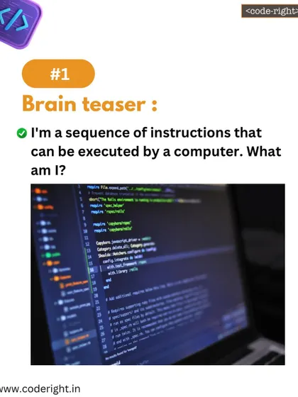 Brain Teaser: I'm a sequence of instructions that can be executed by a computer. What am I? This riddle defines the very essence of a computer program.
