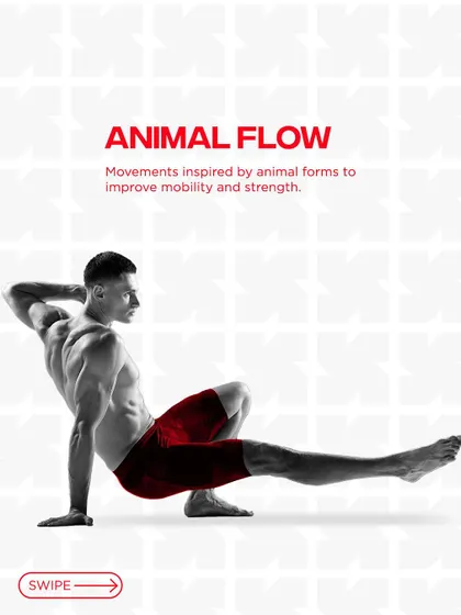 Animal Flow is one of our core mobility offerings. It uses movements inspired by animal forms to improve both mobility and functional, ground-based strength.