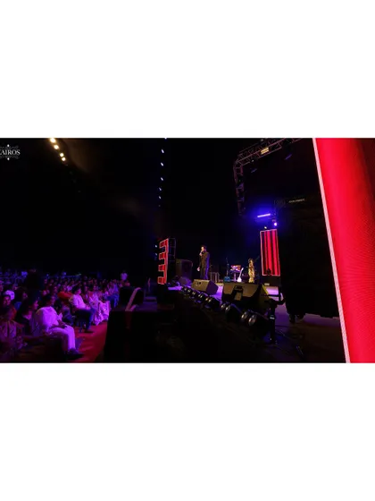 A view from the audience, showing the performer on stage and the crowd watching, giving a sense of the live event experience.