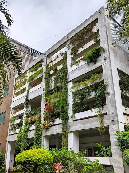 This home in Jayanagar, which we completed in 2018, showcases a living facade that has grown and matured over four years. The cascading plants have blended the building with the landscape, demonstrating our belief that a home should evolve and grow with time.