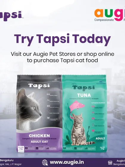 Ready to give your cat a nutritional upgrade? You can find Tapsi cat food, in both chicken and tuna flavors, right here in my stores or on my website.