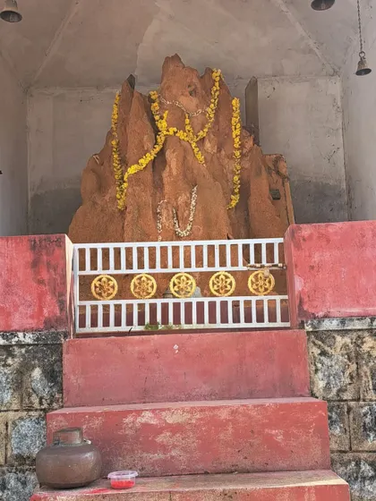 A giant 12 foot anthill worshipped as 'swamy' in Kundapura, reflecting the deep roots of snake worship in Tulu Nadu.