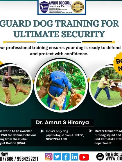 Our guard dog training ensures a dog is ready to defend and protect with confidence. This is a serious skill that requires expert guidance, which my course provides.