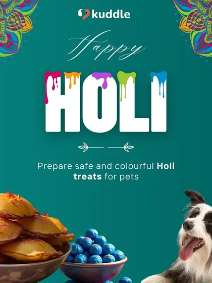 Let your dog join in the Holi fun with safe, pet-friendly festive treats. This image introduces our series of colorful recipes made just for them.