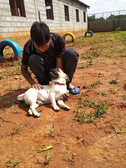 We believe in a personal touch. A member of our trained staff is giving this sweet pug some love and a relaxing belly rub in our outdoor play area. Every dog gets individual attention and care.
