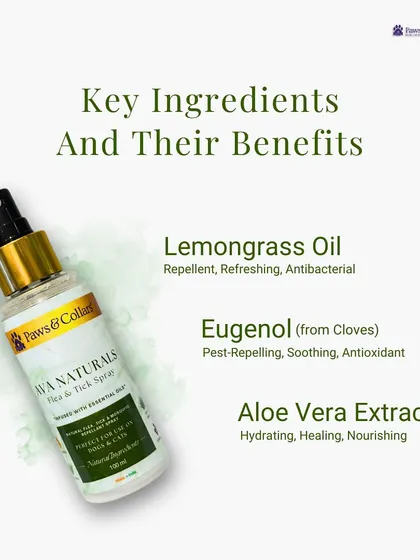 Learn about the powerful, natural ingredients in our Flea & Tick spray. Lemongrass oil acts as a repellent, Eugenol from cloves is a pest-repelling antioxidant, and Aloe Vera extract hydrates and heals the skin.