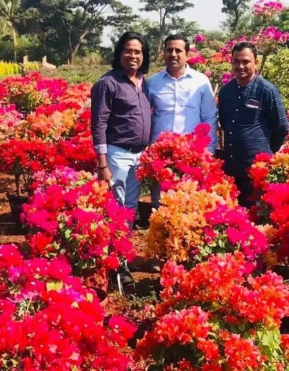 With fellow nature lovers at a nursery, surrounded by a sea of colorful bougainvillea. These vibrant plants are fantastic for creating instant impact in temporary event landscapes.