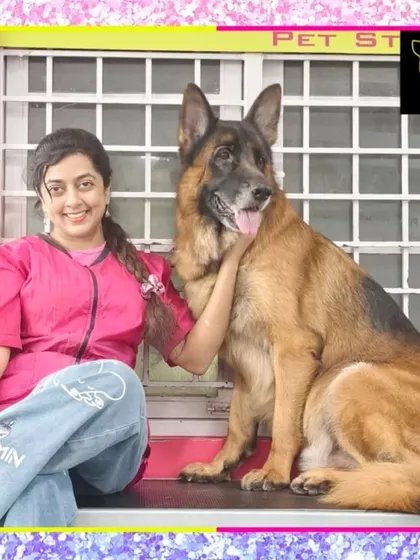 Bruno the German Shepherd is ready for the party. His grooming ensures his thick coat is clean, healthy, and free of loose hair, making him look powerful and majestic.