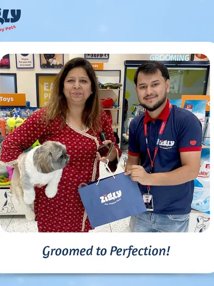 A pet parent proudly holds her freshly groomed Shih Tzu and a goodie bag. Our fests are all about celebrating perfectly groomed pets and happy customers.