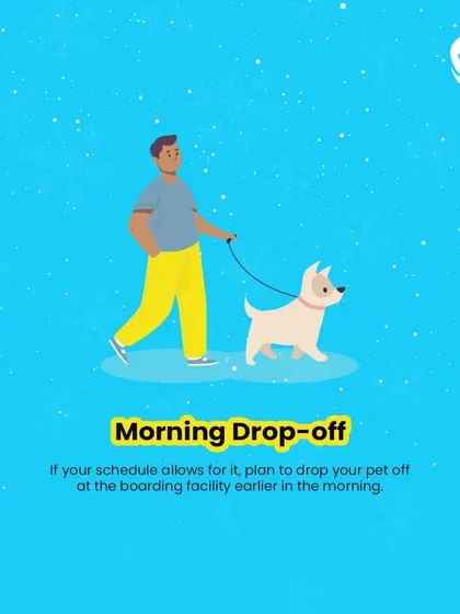 A morning drop-off is a great tip. It gives your pet the whole day to get accustomed to the new environment, play, and settle in before nighttime.