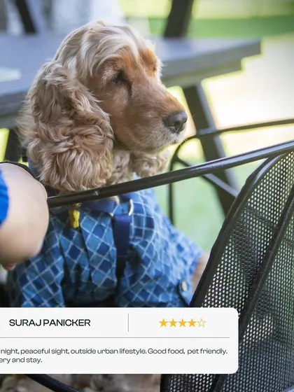 Even our furry guests leave us great reviews. This well-dressed cocker spaniel approves of our pet-friendly space.