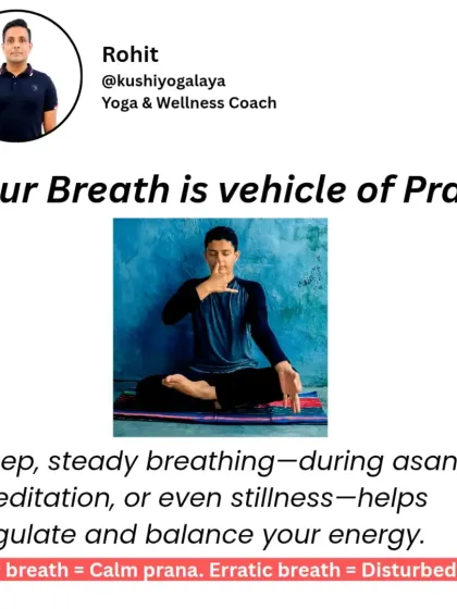 Your breath is the vehicle of Prana. Deep, steady breathing helps regulate and balance your energy. A slow breath calms your prana, while an erratic breath disturbs it.