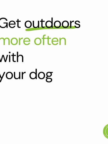 One of the best things you can do for your dog: get outdoors more often. Hikes, swims, and decompression walks are fantastic for reducing stress and strengthening your bond.