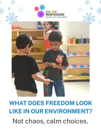 What does freedom look like in our environment? Not chaos, but calm choices, as seen here where two boys discuss their work with the number rods.