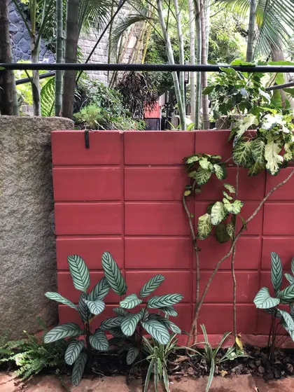 A duplicate image of the Calathea and shrub, framed by a traditional stone pillar, blending modern and natural elements.