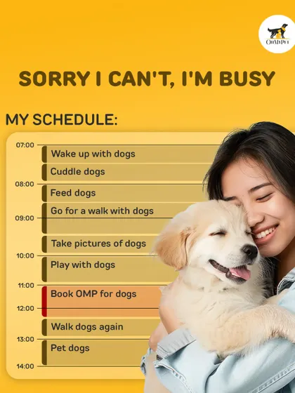 Sorry, can't make it, my schedule is packed. It's filled with cuddling, feeding, and walking the dogs. Booking their OMP grooming session is the only meeting I have time for.