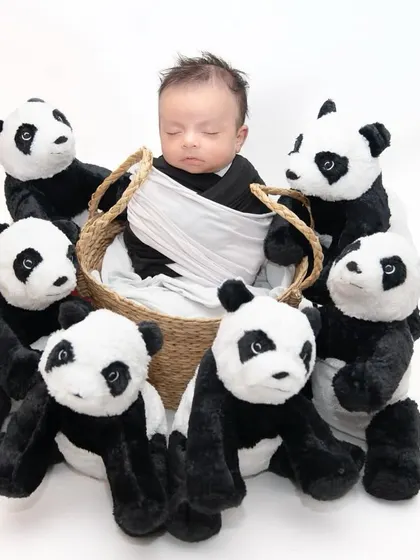 In a world of black and white, this little panda shines. Surrounded by a whole family of panda plushies, this setup is overwhelmingly cute and playful.