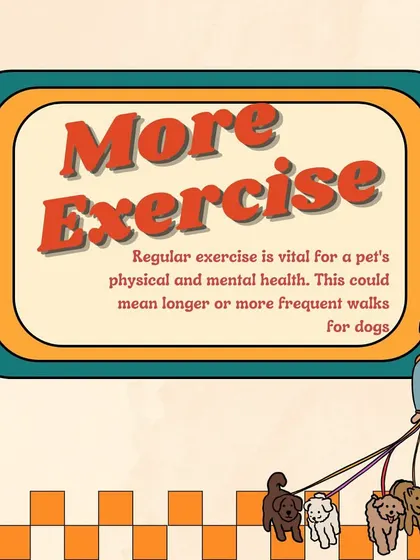 One of the best new year's resolutions for your pet is more exercise. Regular, longer, or more frequent walks are vital for their physical and mental well-being.