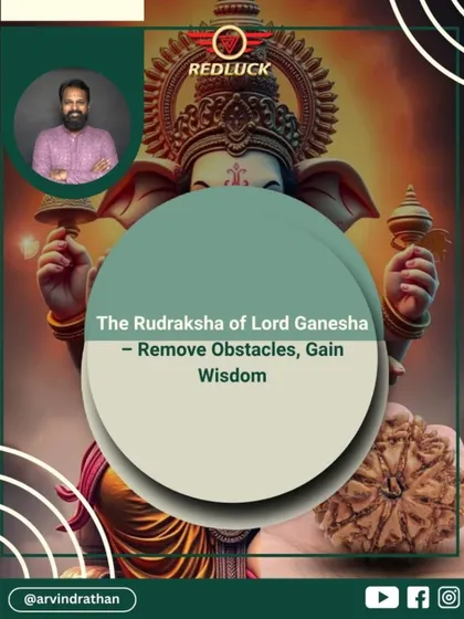 The 8-Mukhi Rudraksha is Lord Ganesha's cosmic bulldozer. This image introduces its power to remove obstacles, sharpen intellect, and provide a shield against the chaotic energy of Rahu.