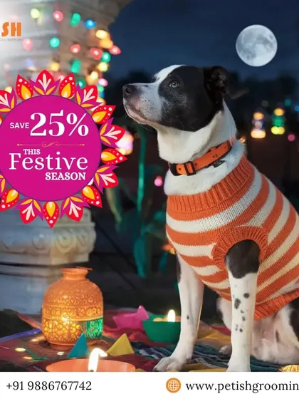 Save 25% this festive season! Get your pet ready for the celebrations with a sparkling grooming transformation.