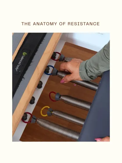 The anatomy of resistance. This close-up of the Reformer springs highlights the adjustable resistance that is central to the Pilates method.