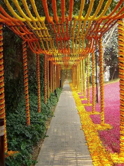 I love creating grand entrances that wow your guests. This long walkway is covered with a canopy of orange and yellow marigold strings, making everyone feel like they are walking through a field of flowers.