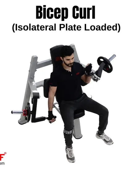 A user performing a single-arm negative on the Isolateral Bicep Curl machine, controlling the descent for maximum muscle engagement.