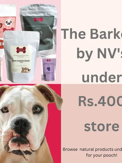 Healthy treats don't have to break the bank. I have a dedicated store for pocket-friendly treats, accessories, and grooming options all under Rs. 400, so every pet parent can access natural, quality products.