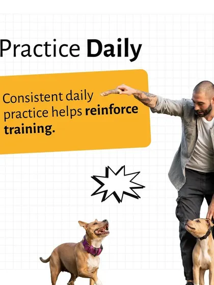Consistency is what makes training stick. This tip emphasizes the need for short, consistent daily practice sessions to help reinforce commands and make good behavior a habit for your pet.
