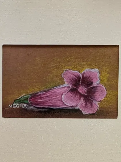 A small study of a pink trumpet-shaped flower, drawn with colored pencils on brown paper. I enjoy capturing the beauty of individual blooms in these miniature artworks.