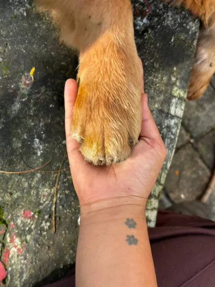 A paw in hand, a tattoo that shows my lifelong commitment. This simple gesture from a dog is a profound sign of trust, and it's a moment I always cherish. It signifies a true partnership.