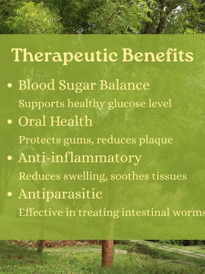 Captions for these will be educational, explaining the Ayurvedic properties and uses of plants like Neem (Nimbi) and Amla (Amalaki), or detailing aspects of the Ayurveda retreats and courses as shown in the images.