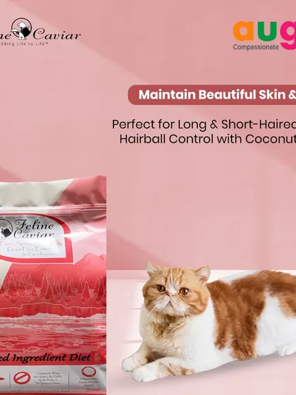 Whether you have a long-haired or short-haired cat, maintaining their coat is key. Feline Caviar helps with this and includes coconut fiber for natural hairball control.