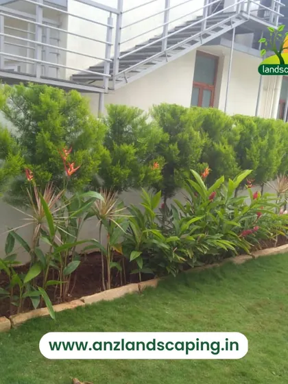 We use hedge planting to create natural privacy screens and borders, as seen in this image with a neat row of evergreen shrubs along a wall.