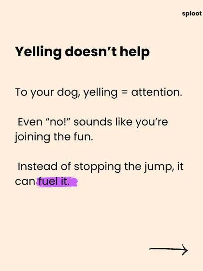 Why yelling "no" doesn't stop your dog from jumping. To a dog, any reaction is attention, which can actually encourage the behavior. We explain why a different approach is needed.