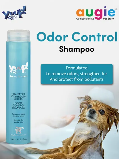 For coats that need a deep clean, we use Yuup! Odor Control Shampoo. It's formulated to eliminate odors, strengthen fur, and protect your pet's coat from pollutants, smoke, and UV rays.