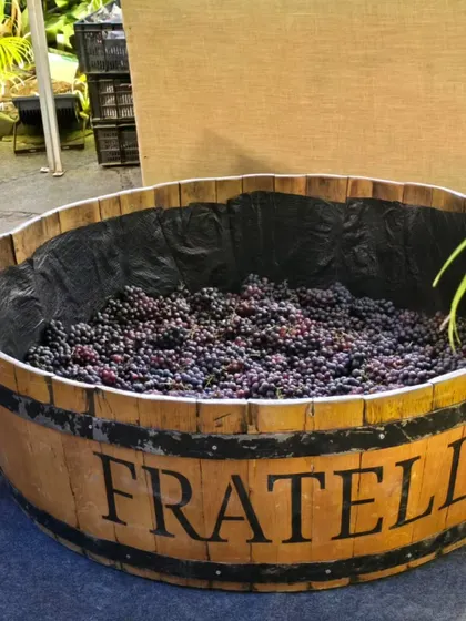 I also plan unique activities like this grape-stomping setup for a cake mixing ceremony. It's a fun, interactive experience that makes any event more memorable and engaging for guests.
