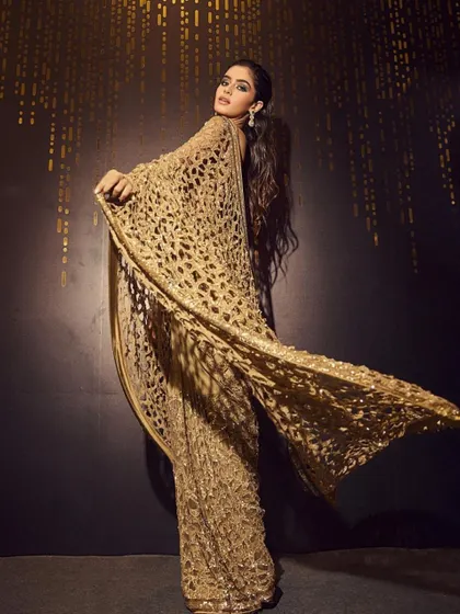 A full-glam reception look featuring a stunning golden saree. I teach the techniques for creating a makeup look that stands up to dramatic lighting, with a focus on highlighting, contouring, and long-wear products.