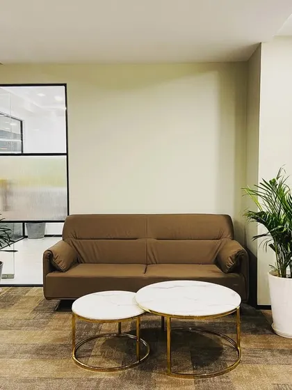 This waiting area at Sahil Graphics in Faridabad uses multiple plants of different sizes to create a layered, green space. A large palm in a white pot complements a brown sofa, creating a calm and earthy feel.