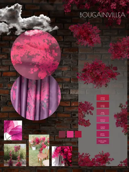 At my store, sketches embrace the beauty of nature to transform into a stunning outfit. This mood board is inspired by the vibrant hues of bougainvillea.